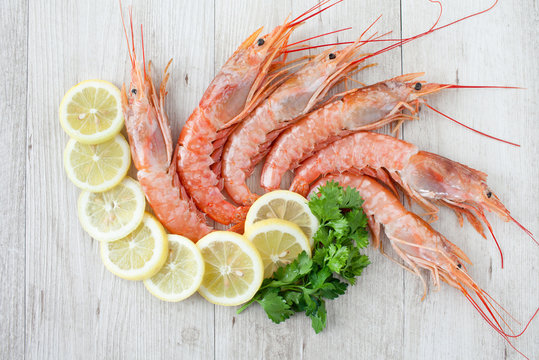 Fresh Mediterranean Prawns