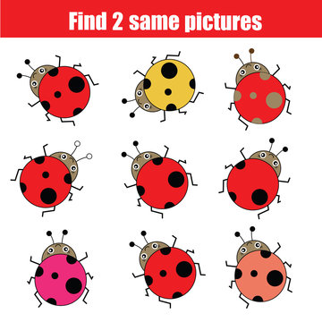 Find the same pictures children educational game with ladybirds