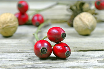 Macro rose hips