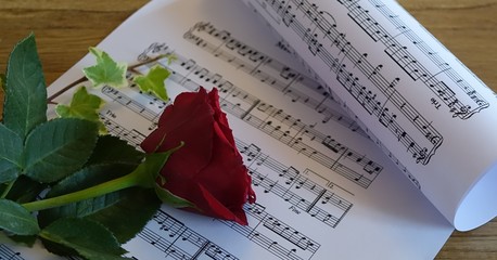 Rosen und Efeu mit Noten