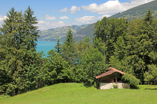thunersee mit alph&uuml;tte, alpen, schweiz