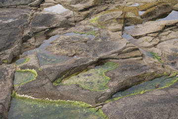 Plage de rochers