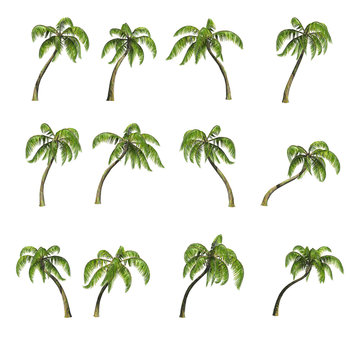 Sixteen palm trees, 3D render