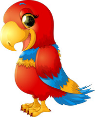 cheerful red parrot