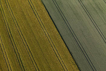 aerial view of the  harvest field