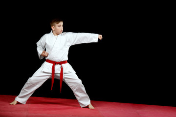 Karate martial Arts