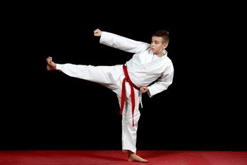 Karate martial Arts