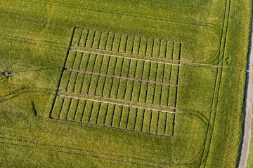 aerial view of the  harvest field