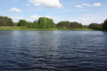 Вид на летний берег с озера.