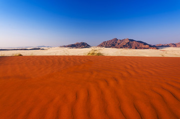 Fototapeta na wymiar Detail of a red dune in Namibia, Africa