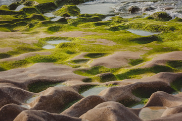 Background : Coast of volcanic rock