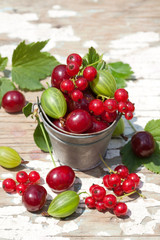 Sweet berries in the bucket