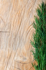 Fresh green dill on wooden plank