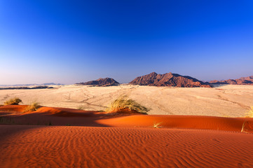 Fototapeta na wymiar Detail of a red dune in Namibia, Africa