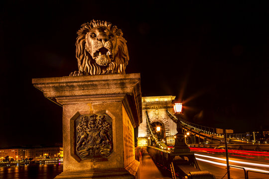 Chain Bridge Lion Danube River Traffic Lights Budapest Hungary