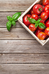 Fresh ripe garden tomatoes and basil