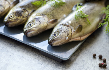 Rainbow trouts on a glass and stone board with herbs 