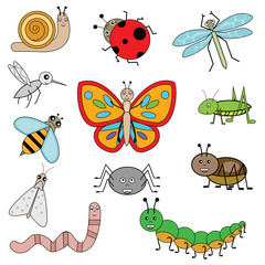 Insects in cartoon style. Vector illustration, isolated design elements