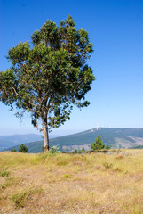 Obraz premium Serra da Lousã, Coimbra, Portugal