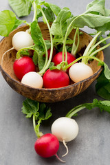 Radish fresh on the gray background.