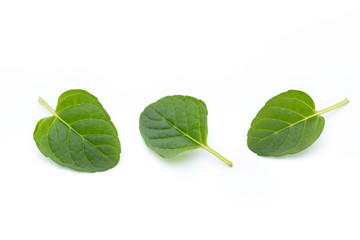 Mint leaves isolated on white background.