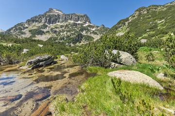 Fototapeta na wymiar Summer view of Dzhangal peak and Banski lakes, Pirin Mountain, Bulgaria