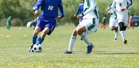 Fototapeta premium サッカー フットボール