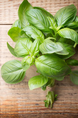 Basil.