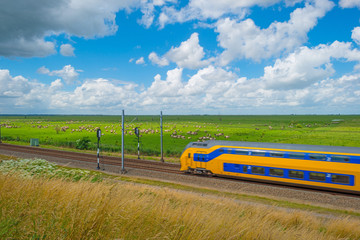 Railroad along a herd of horses in summer © Naj