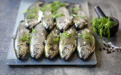Rainbow trouts on a glass and stone board with herbs and mortar