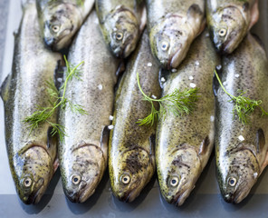 Rainbow trouts on a glass board with herbs