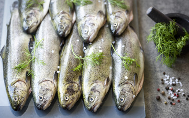 Rainbow trouts on a glass and stone board with herbs and mortar