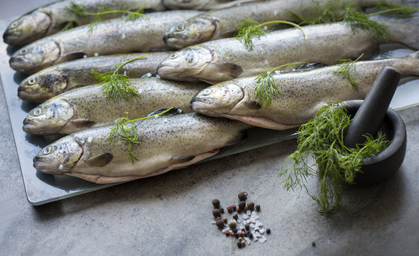 Rainbow trouts on a glass and stone board with herbs and mortar