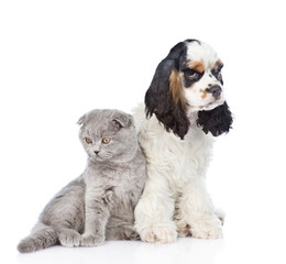 Cocker Spaniel puppy sitting with young kitten. isolated on white