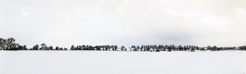 Fototapeta na wymiar white icy trees in snow covered landscape