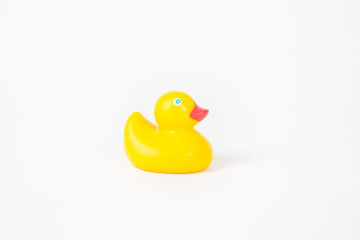 Rubber Duck