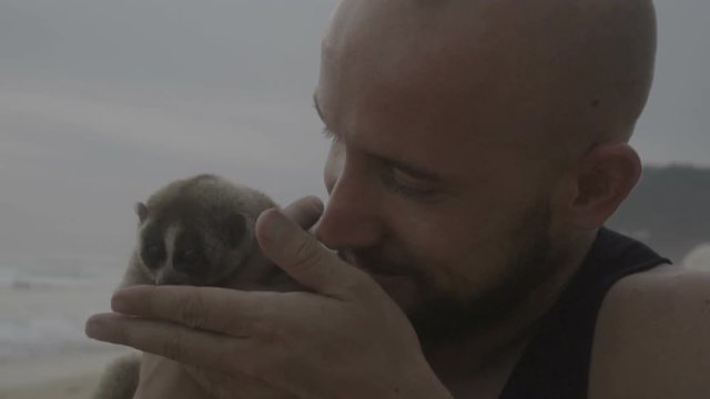 Handsome man holding and feeding slow loris with grapes isolated on the beach.