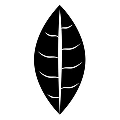 Black and white leaf isolated icon design ecology theme, vector illustration.