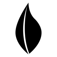 Black and white leaf isolated icon design ecology theme, vector illustration.