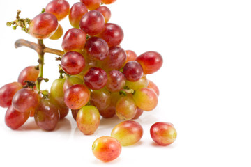Red grapes isolated