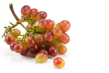 Red grapes isolated