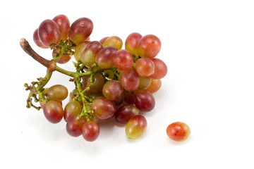 Red grapes isolated