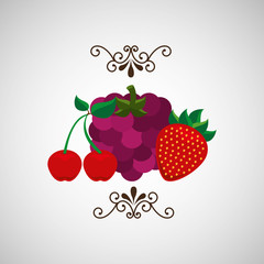 healthy food organic product isolated icon design
