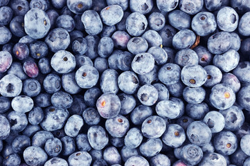 Fototapeta na wymiar blueberry background