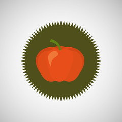 healthy food organic product isolated icon design