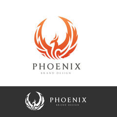 Phoenix logo,Eagle logo,Brand identity white bird and wing concept.