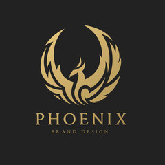 Phoenix logo,Eagle logo,Brand identity white bird and wing concept.