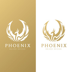 Phoenix logo,Eagle logo,Brand identity white bird and wing concept.