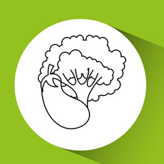 healthy food organic product isolated icon design