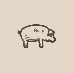 Pig sketch icon.
